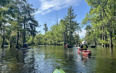 Kayaking Cheniere Lake